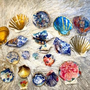 Seashell decor